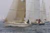 Pivoine sur un départ du Tour du Finistère à la voile